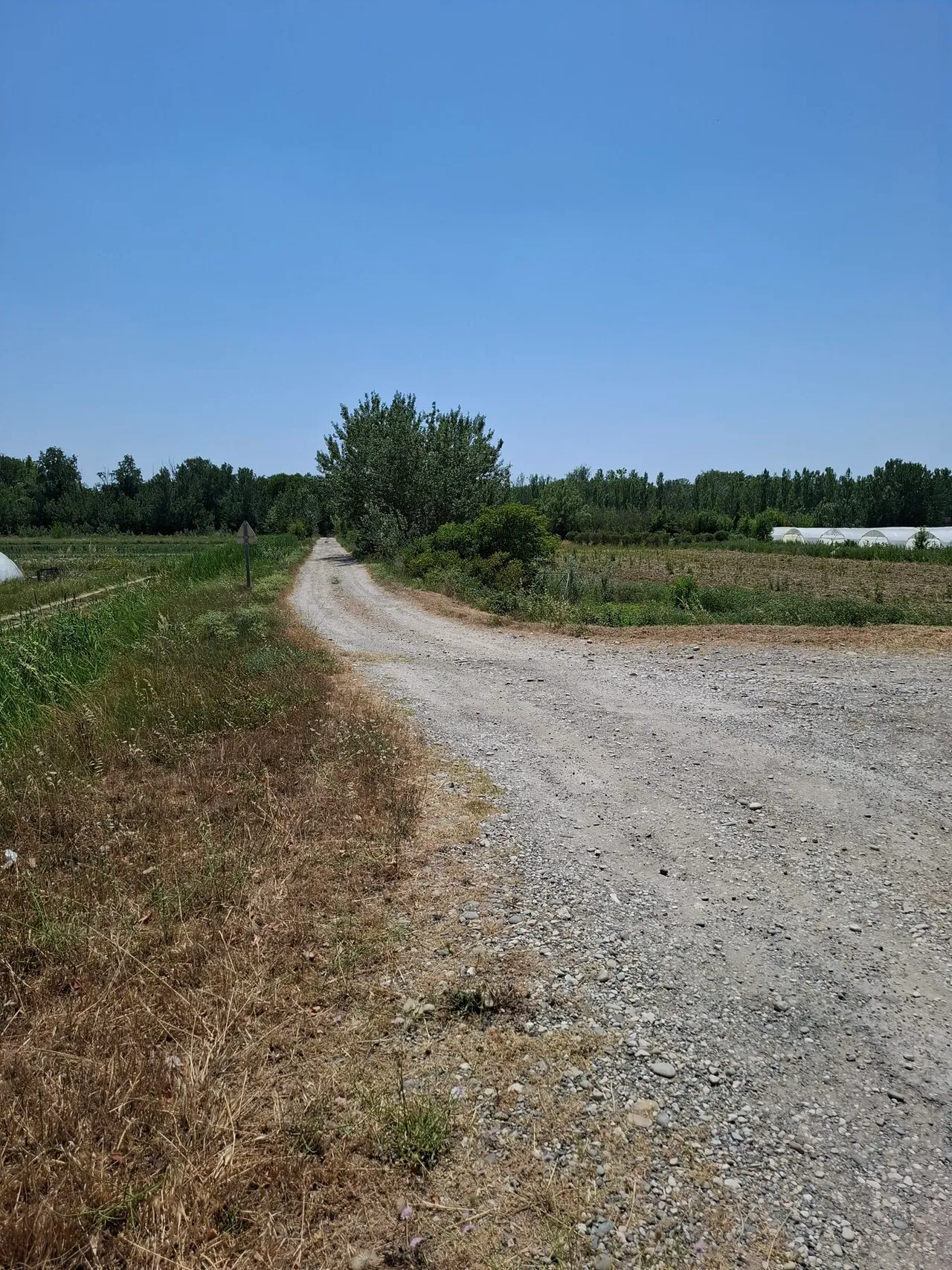 L'accès au terrain des Borrys ; serre maraîchère voisine au fond.