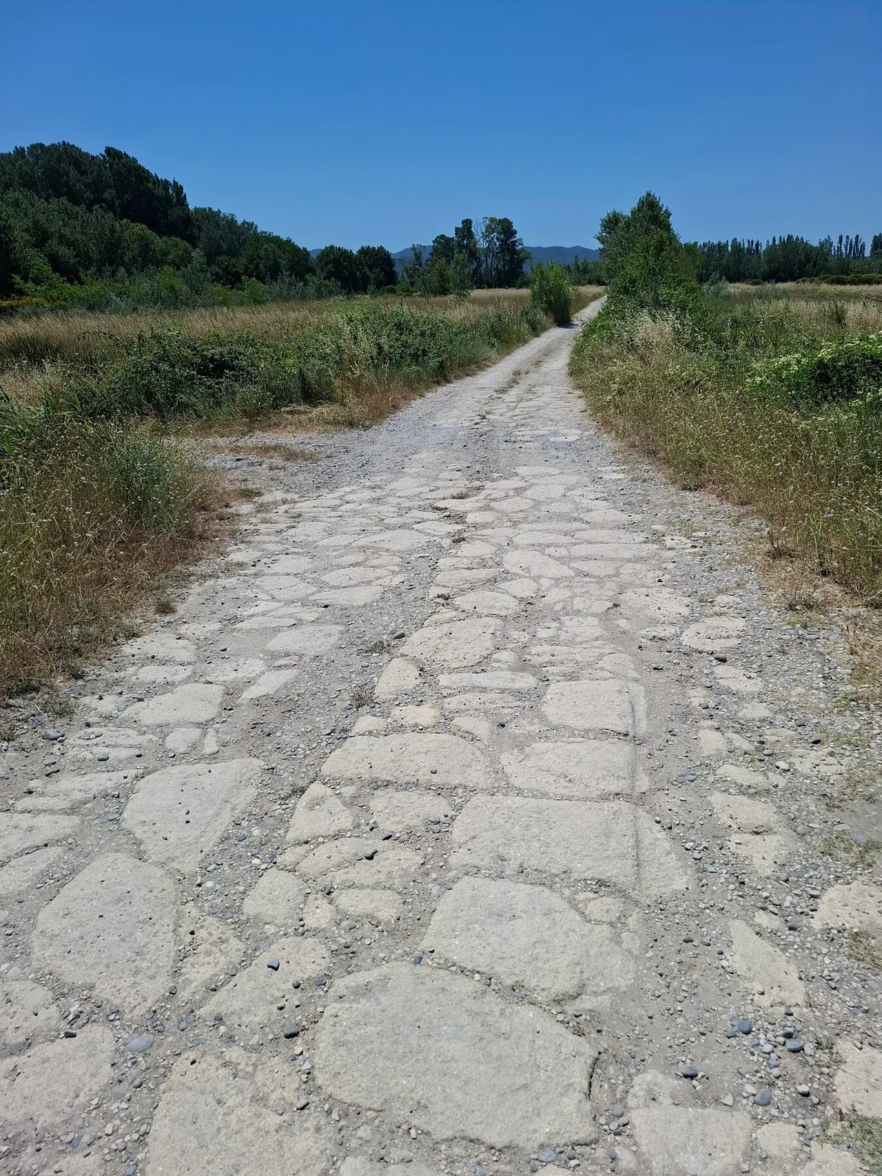 L'ancien chemin empierré menant vers la Durance.