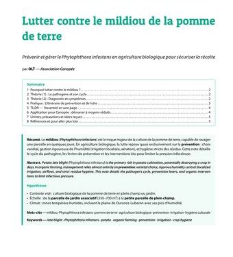 Feuille de pomme de terre atteinte de mildiou